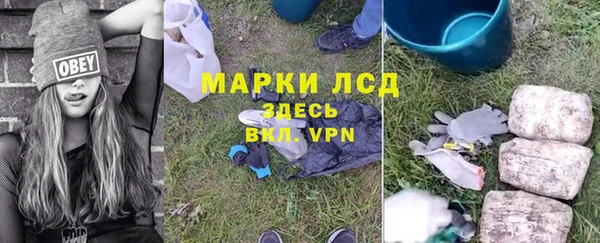 ГАЛЛЮЦИНОГЕННЫЕ ГРИБЫ Балабаново