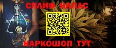 шишки Дубна
