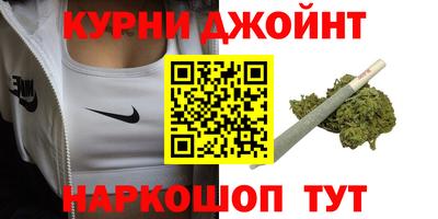 шишки Дубна