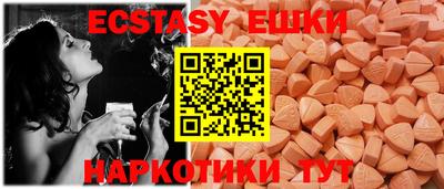 шишки Дубна