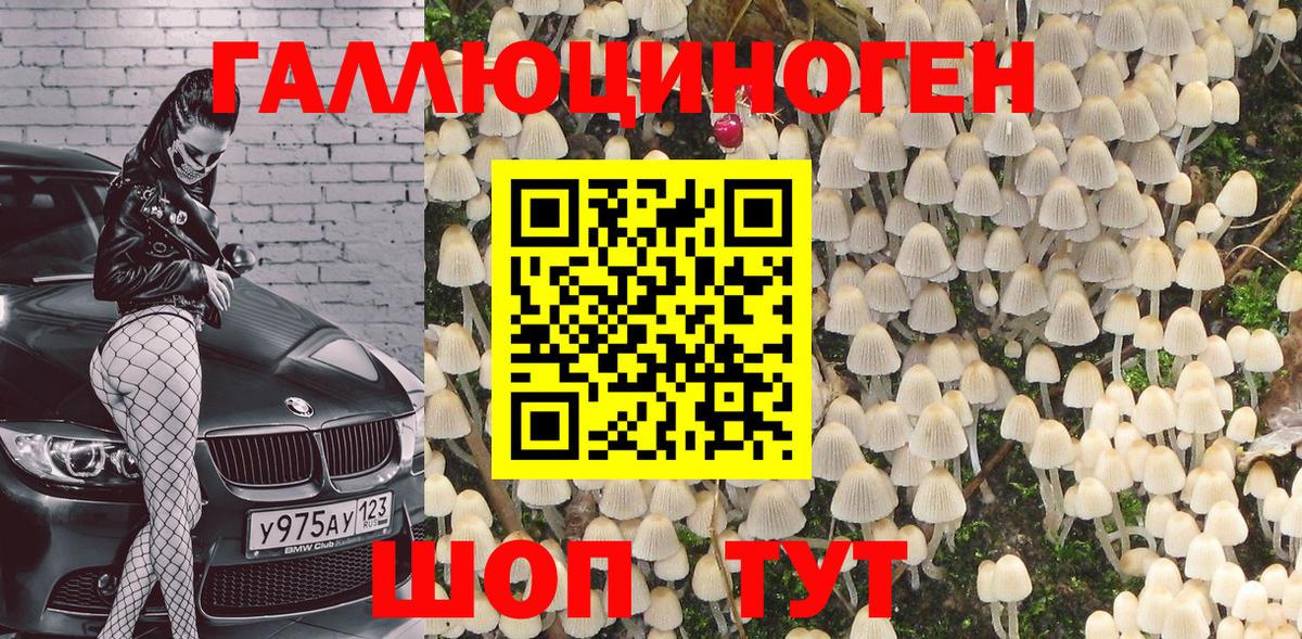 Галлюциногенные грибы GOLDEN TEACHER Ногинск