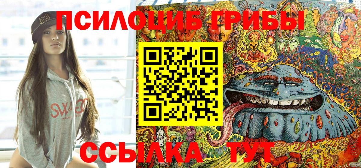 Ногинск  Псилоцибиновые грибы GOLDEN TEACHER  Вход с VPN 